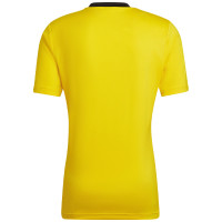 SC Cambuur MVAN Trainingshirt Dames