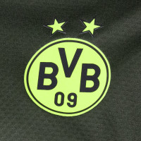 PUMA Borussia Dortmund Trainingstrui 1/4 Zip 2024-2025 Groen Geel