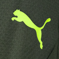 PUMA Borussia Dortmund Trainingsbroek 2024-2025 Groen Geel