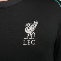 Nike Liverpool Uitset 2024-2025