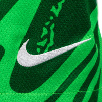 Nike Nederland Keepersbroekje 2024-2026 Kids Groen