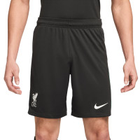 Nike Liverpool Uitset 2024-2025