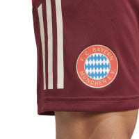 adidas Bayern München Trainingsbroekje Europees 2024-2025 Bordeauxrood Rood Wit