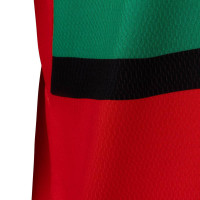 Robey NEC Nijmegen Thuisshirt 2024-2025