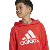 adidas Essentials Big Logo Hoodie Kids Rood Wit