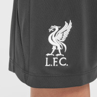 Nike Liverpool Academy Pro Trainingsbroekje 2024-2025 Kids Donkergrijs Wit