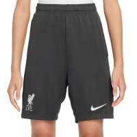 Nike Liverpool Academy Pro Trainingsbroekje 2024-2025 Kids Donkergrijs Wit