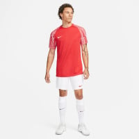 Nike Dri-Fit Academy Trainingsshirt Rood Wit