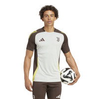 adidas Juventus Trainingsset Europees 2024-2025 Grijs Bruin Geel