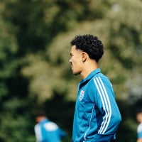 adidas PEC Zwolle Trainingstrui 2024-2025