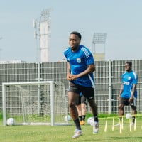 adidas PEC Zwolle Trainingsshirt 2024-2025