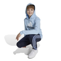 adidas Essentials Big Logo Hoodie Kids Lichtblauw Wit Zwart