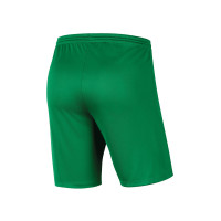 SPV'81 Trainingsshort Junior Groen