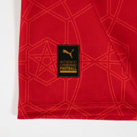 PUMA Marokko Thuisshirt 2024-2026