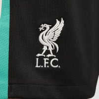 Nike Liverpool Uitset 2024-2025