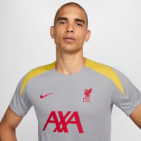 Nike Liverpool Strike Trainingsshirt 2024-2025 Grijs Geel Rood