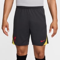 Nike Liverpool Strike Trainingsset 2024-2025 Grijs Donkergrijs Geel Rood