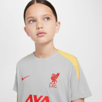 Nike Liverpool Strike Trainingsshirt 2024-2025 Kids Grijs Geel Rood