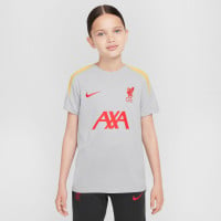 Nike Liverpool Strike Trainingsset 2024-2025 Kids Grijs Donkergrijs Geel Rood