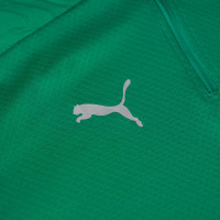 PUMA Marokko Trainingstrui 1/4-Zip 2024-2026 Groen Zilver