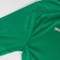 PUMA Marokko Trainingstrui 1/4-Zip 2024-2026 Groen Zilver