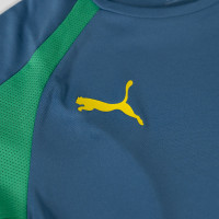 PUMA Neymar Jr. BNA Trainingsshirt 2.0 Kids Blauw Groen Geel