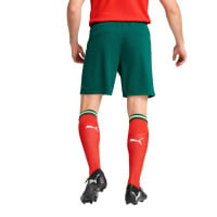 PUMA Portugal Thuisbroekje 2025-2026