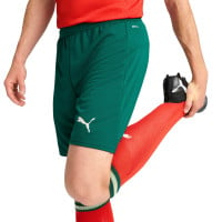 PUMA Portugal Thuisbroekje 2025-2026