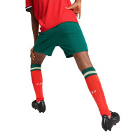 PUMA Portugal Thuisbroekje 2025-2026 Kids