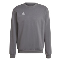 adidas Entrada 22 Crew Sweater Grijs Wit