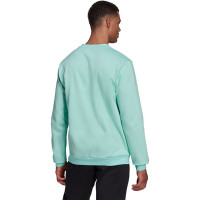 adidas Entrada 22 Crew Sweater Turquoise Wit