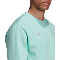 adidas Entrada 22 Crew Sweater Turquoise Wit