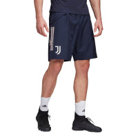 adidas Juventus Polo Trainingsset 2020-2021 Lichtgrijs Donkerblauw