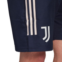 adidas Juventus Polo Trainingsset 2020-2021 Lichtgrijs Donkerblauw