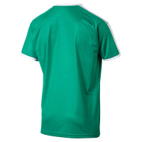 PUMA Liga shirt Groen