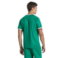 PUMA Liga shirt Groen