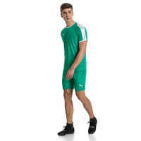 PUMA Liga shirt Groen